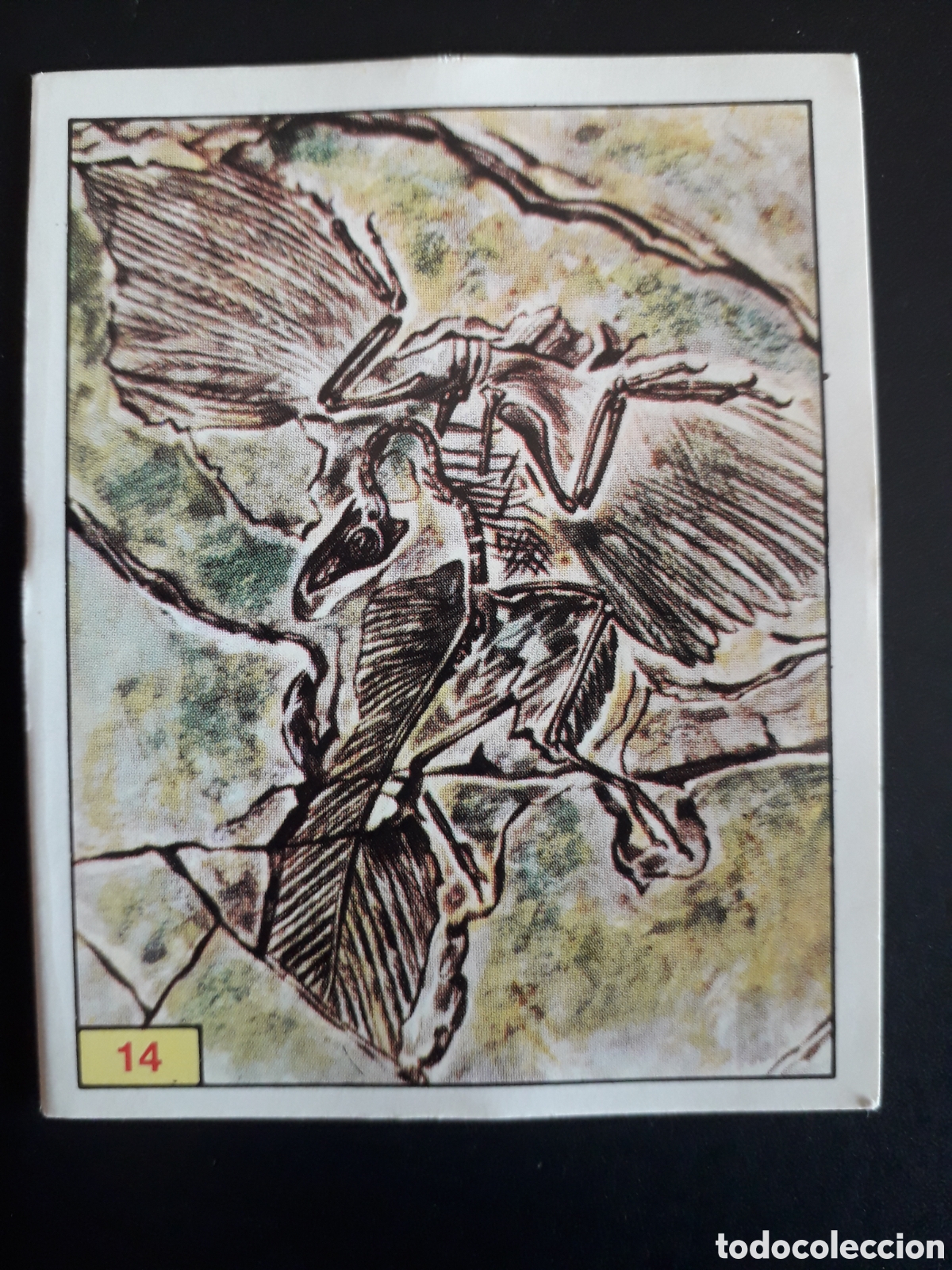 Coleccionismo cromos antiguos: DINOSAURS / DINOSAURIOS N&deg; 14 PANINI 1992 SIN PEGAR PEDIDO M&Iacute;NIMO 3&euro;