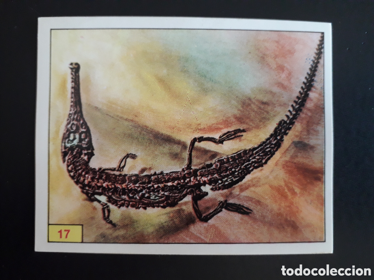 Coleccionismo cromos antiguos: DINOSAURS / DINOSAURIOS N&deg; 17 PANINI 1992 SIN PEGAR PEDIDO M&Iacute;NIMO 3&euro;