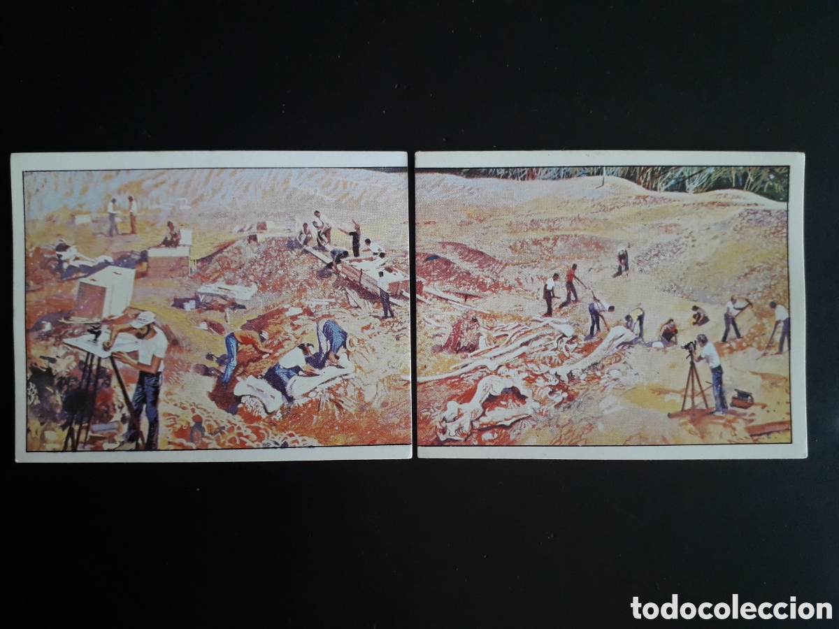 Coleccionismo cromos antiguos: DINOSAURS / DINOSAURIOS N&deg; 26 Y 27 PANINI 1992 SIN PEGAR PEDIDO M&Iacute;NIMO 3&euro;