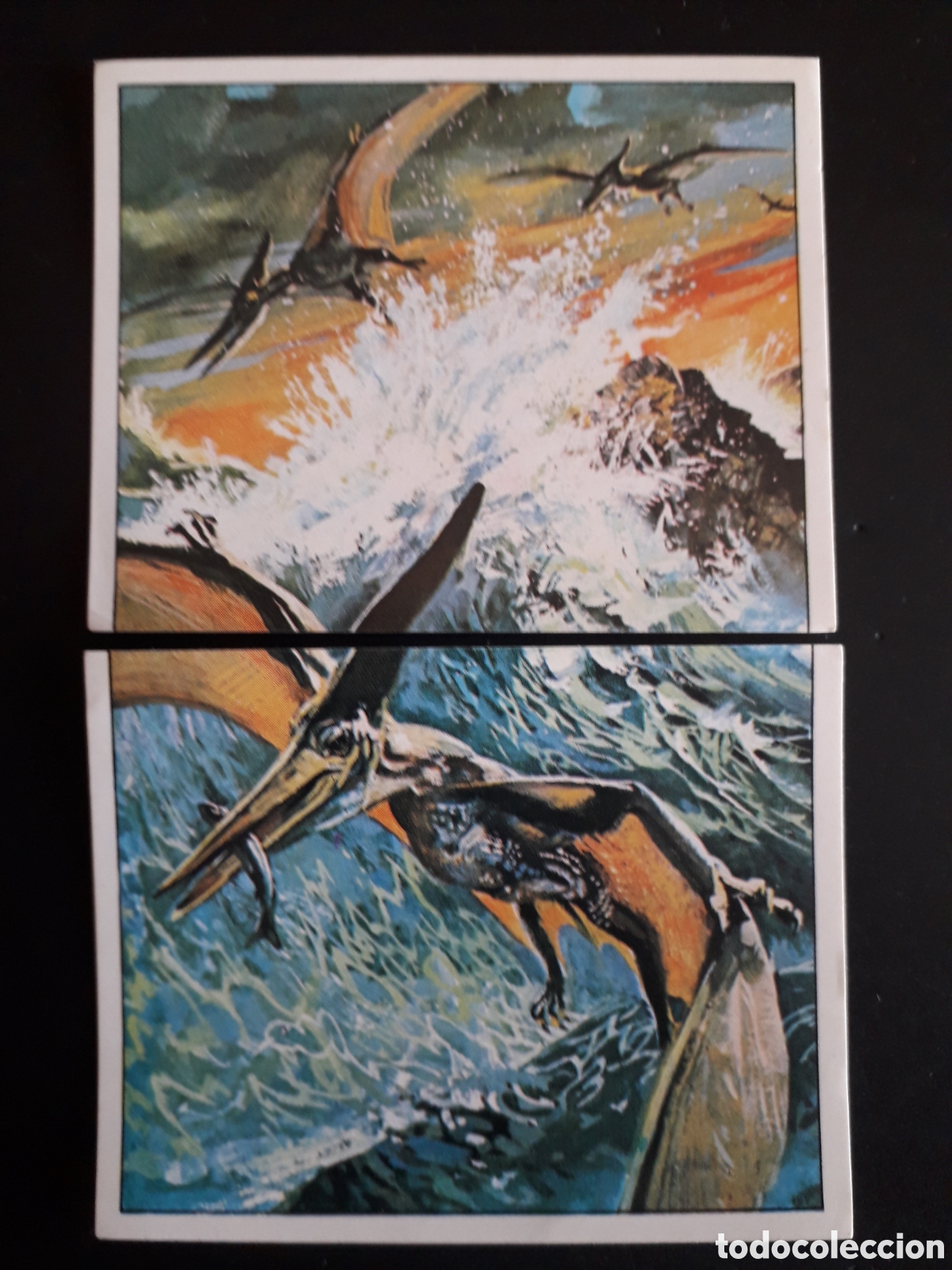Coleccionismo cromos antiguos: DINOSAURS / DINOSAURIOS N&deg; 65 Y 66 PANINI 1992 SIN PEGAR PEDIDO M&Iacute;NIMO 3&euro;