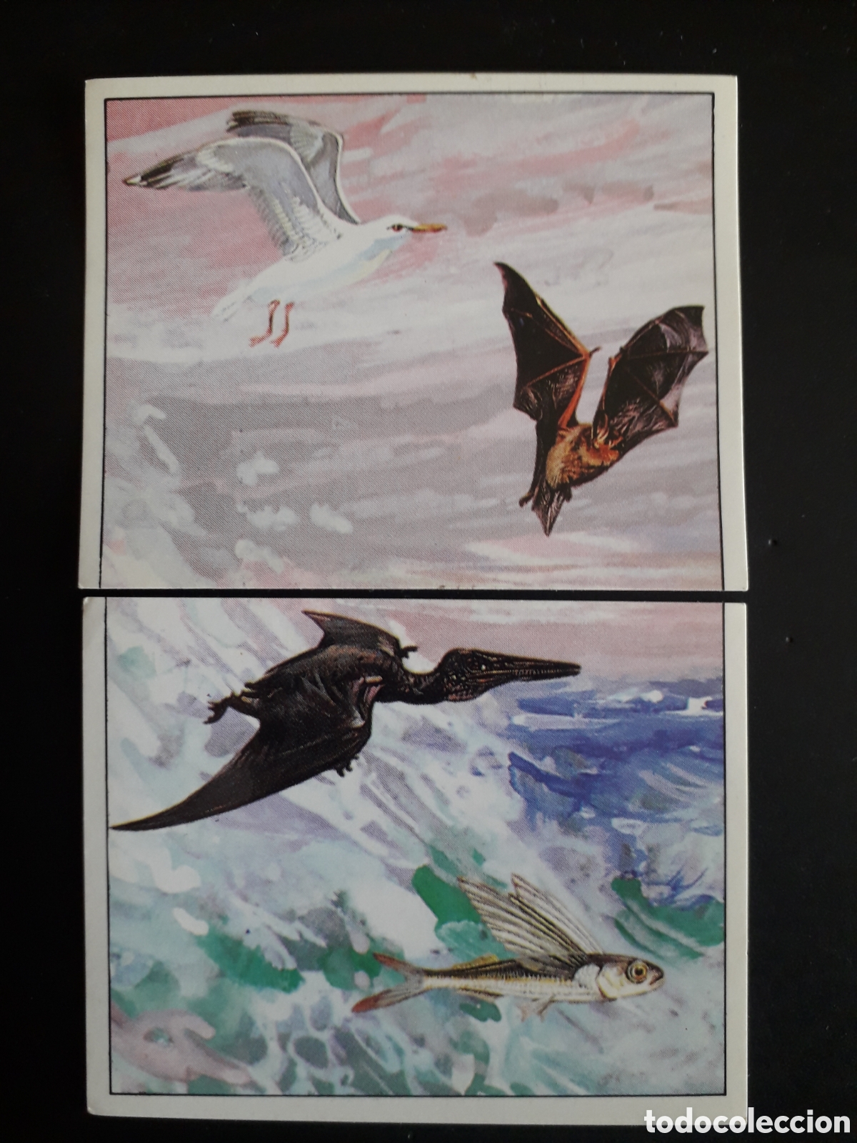 Coleccionismo cromos antiguos: DINOSAURS / DINOSAURIOS N&deg; 63 Y 64 PANINI 1992 SIN PEGAR PEDIDO M&Iacute;NIMO 3&euro;.