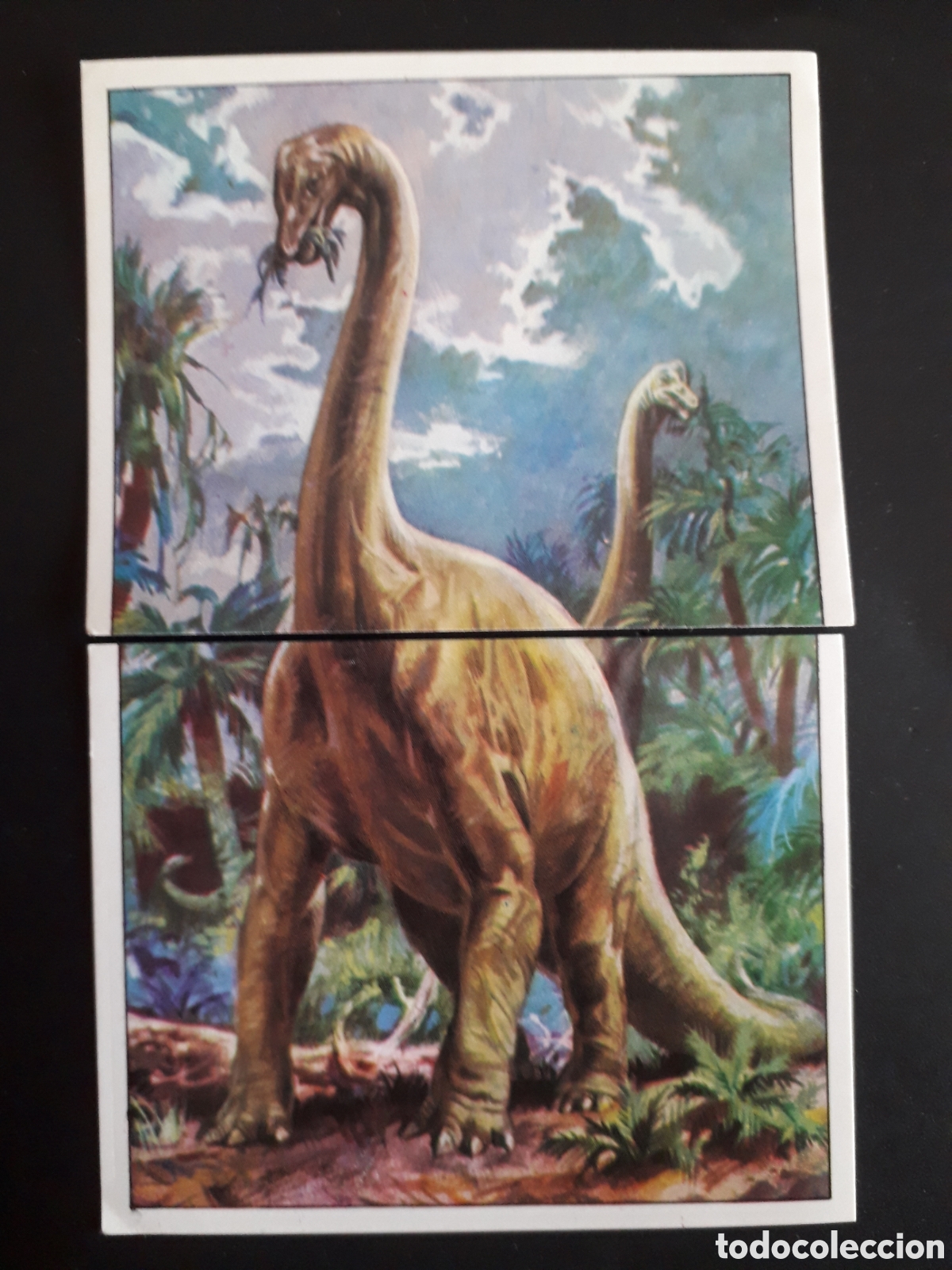 Coleccionismo cromos antiguos: DINOSAURS / DINOSAURIOS N&deg; 75 Y 76 PANINI 1992 SIN PEGAR PEDIDO M&Iacute;NIMO 3&euro;