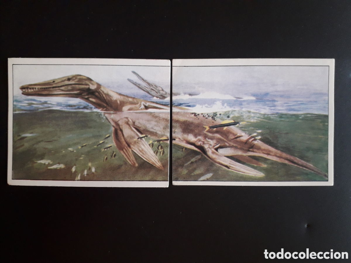 Coleccionismo cromos antiguos: DINOSAURS / DINOSAURIOS N&deg; 60 Y 61 PANINI 1992 SIN PEGAR PEDIDO M&Iacute;NIMO 3&euro;