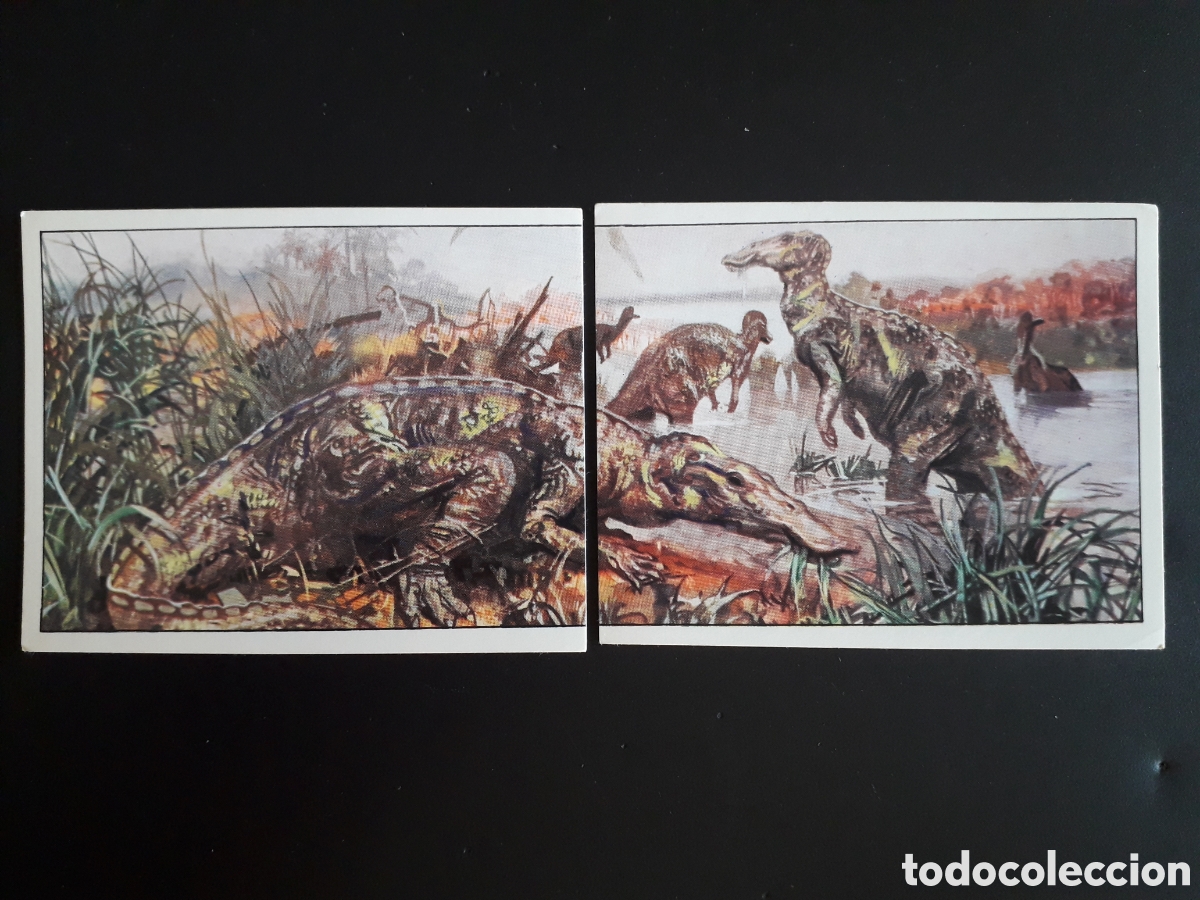 Coleccionismo cromos antiguos: DINOSAURS / DINOSAURIOS N&deg; 57 Y 58 PANINI 1992 SIN PEGAR PEDIDO M&Iacute;NIMO 3&euro;