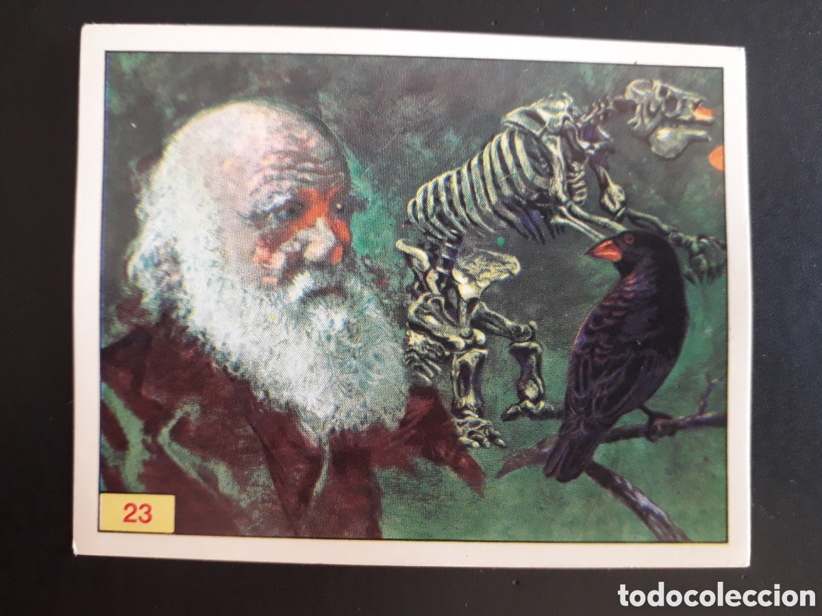 Coleccionismo cromos antiguos: CHARLES DARWIN, DINOSAURS / DINOSAURIOS N&deg; 23 PANINI 1992 SIN PEGAR PEDIDO M&Iacute;NIMO 3&euro;
