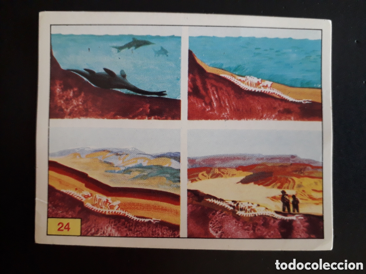 Coleccionismo cromos antiguos: DINOSAURS / DINOSAURIOS N&deg; 24 PANINI 1992 SIN PEGAR PEDIDO M&Iacute;NIMO 3&euro;.