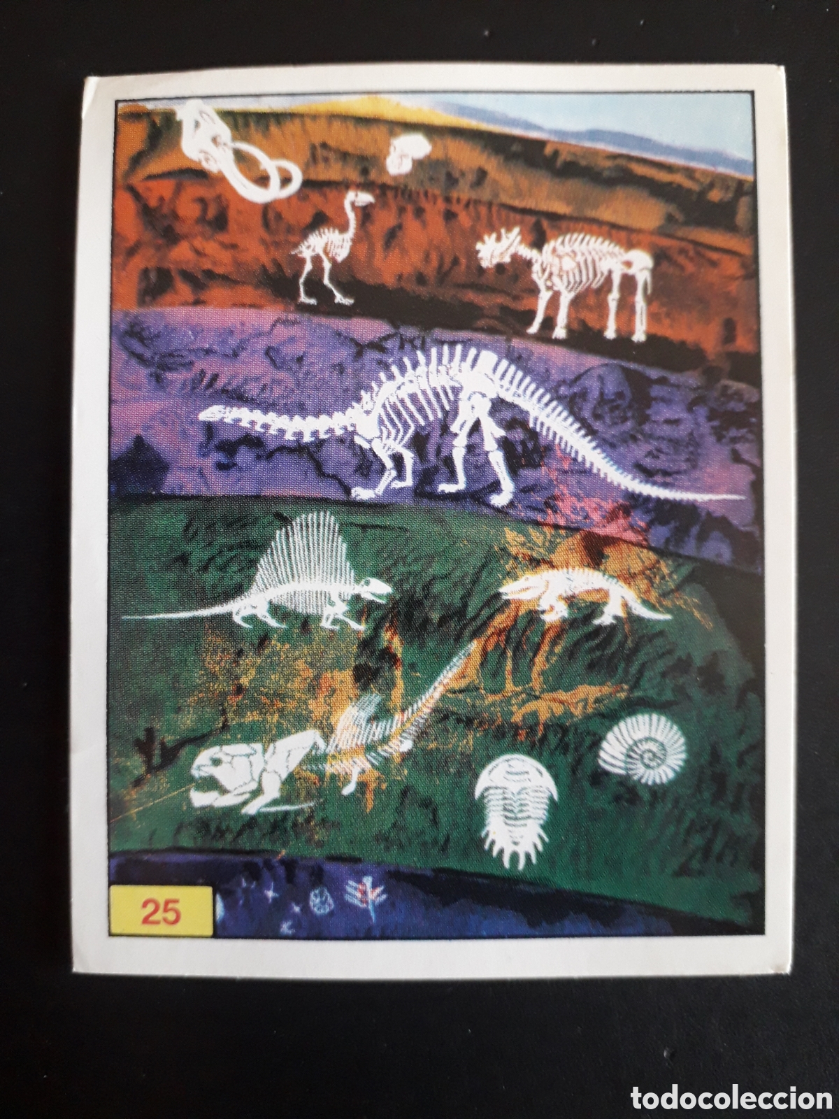 Coleccionismo cromos antiguos: DINOSAURS / DINOSAURIOS N&deg; 25 PANINI 1992 SIN PEGAR PEDIDO M&Iacute;NIMO 3&euro;