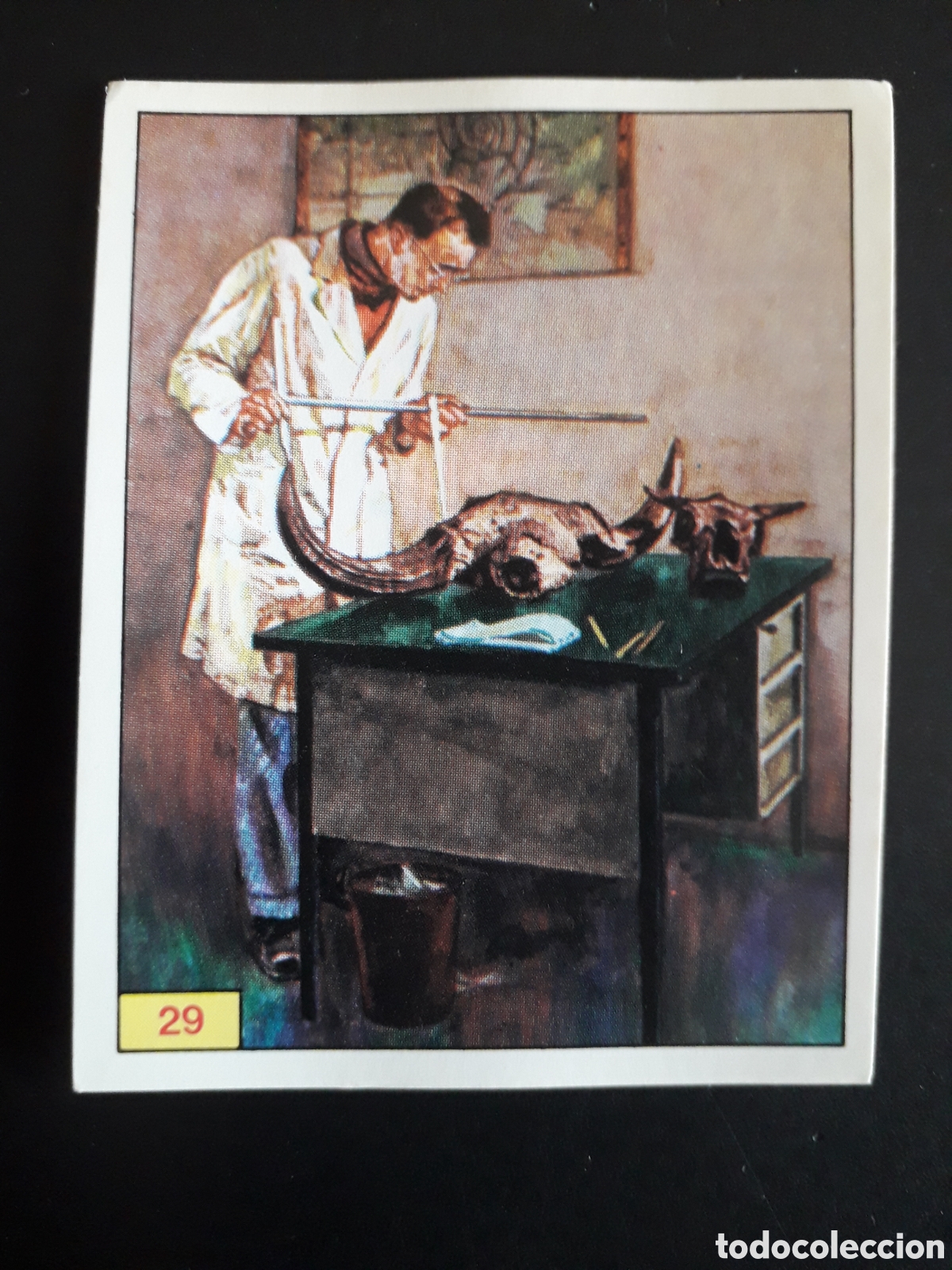 Coleccionismo cromos antiguos: DINOSAURS / DINOSAURIOS N&deg; 29 PANINI 1992 SIN PEGAR PEDIDO M&Iacute;NIMO 3&euro;