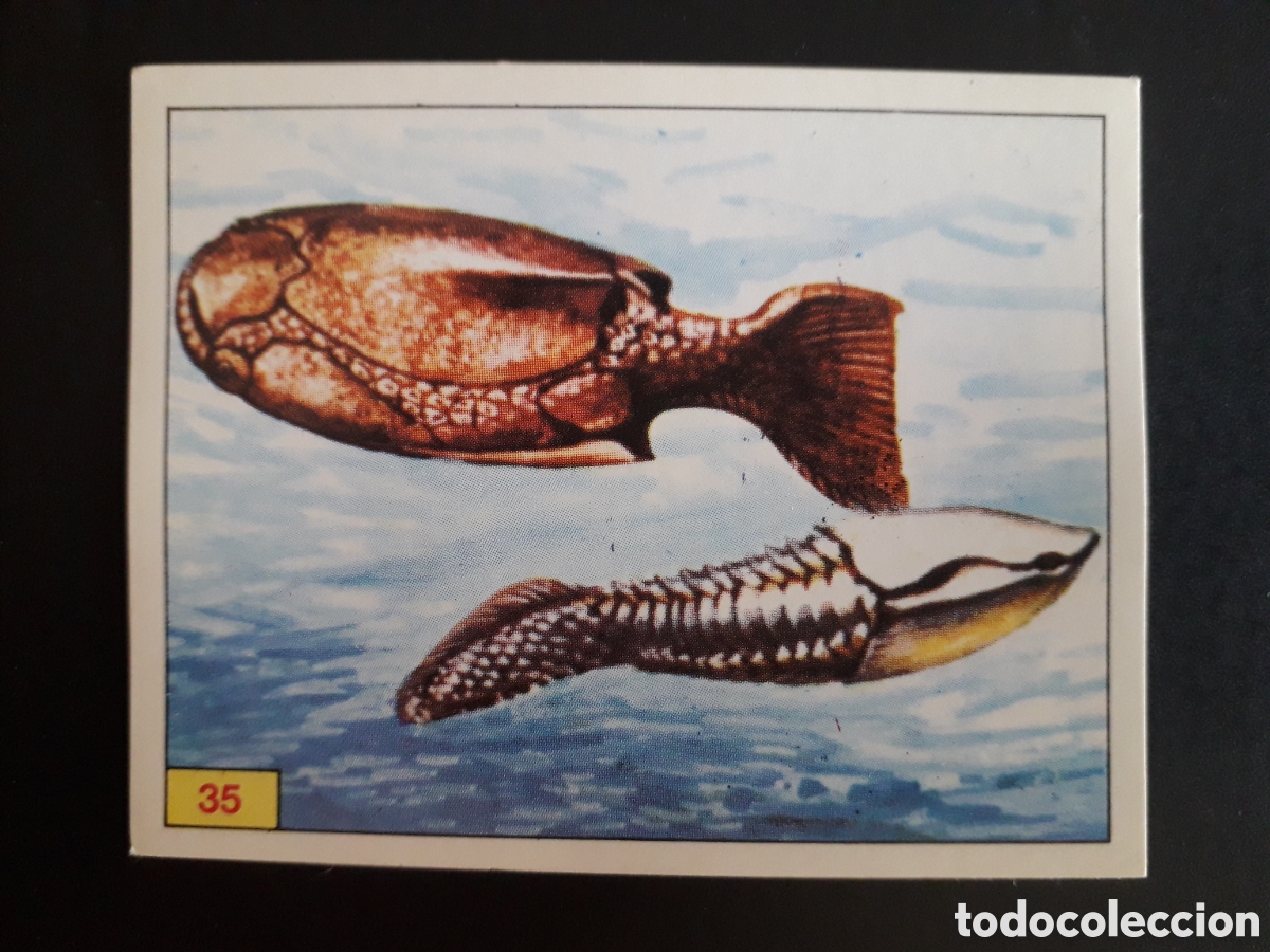 Coleccionismo cromos antiguos: DINOSAURS / DINOSAURIOS N&deg; 35 PANINI 1992 SIN PEGAR PEDIDO M&Iacute;NIMO 3&euro;