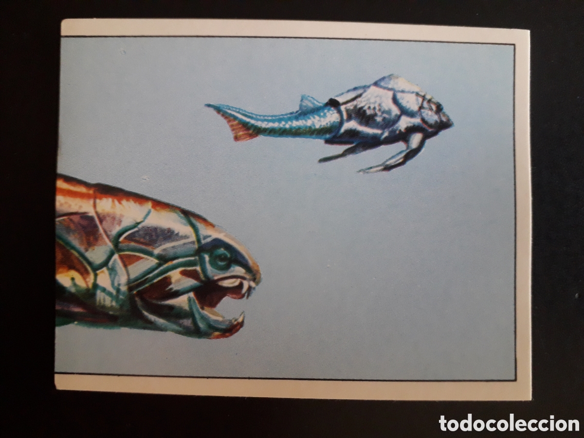 Coleccionismo cromos antiguos: DINOSAURS / DINOSAURIOS N&deg; 37 PANINI 1992 SIN PEGAR PEDIDO M&Iacute;NIMO 3&euro;