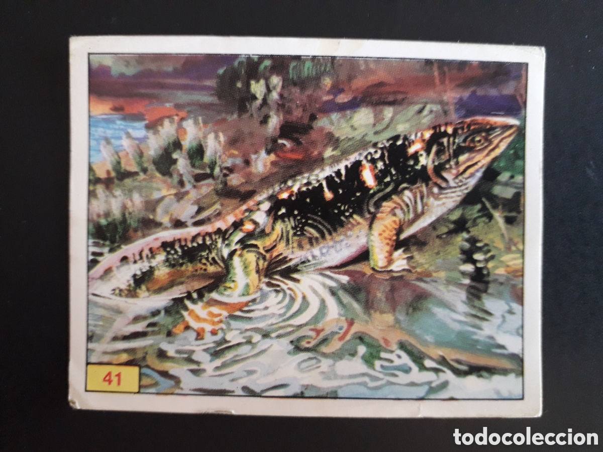Coleccionismo cromos antiguos: DINOSAURS / DINOSAURIOS N&deg; 41 PANINI 1992 SIN PEGAR PEDIDO M&Iacute;NIMO 3&euro;