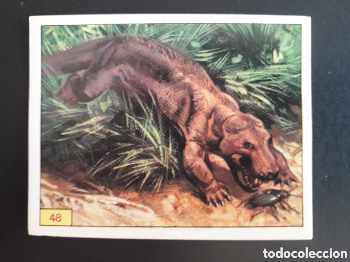 Coleccionismo cromos antiguos: DINOSAURS / DINOSAURIOS N&deg; 48 PANINI 1992 SIN PEGAR PEDIDO M&Iacute;NIMO 3&euro;