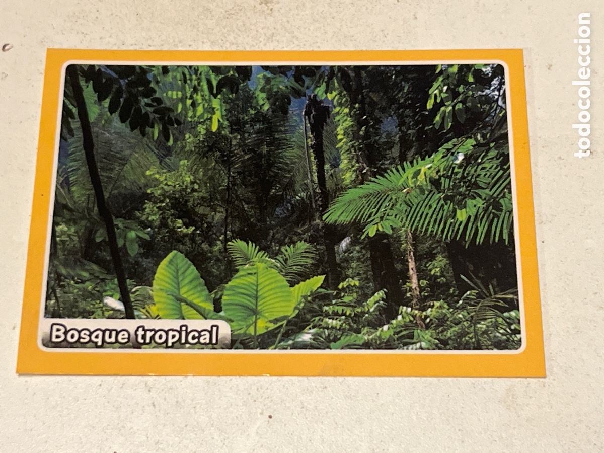 Coleccionismo cromos antiguos: Cromo Panini Animales de El Gran &Aacute;lbum del Mundo Animal 2013 N&ordm;131 Bosque Tropical