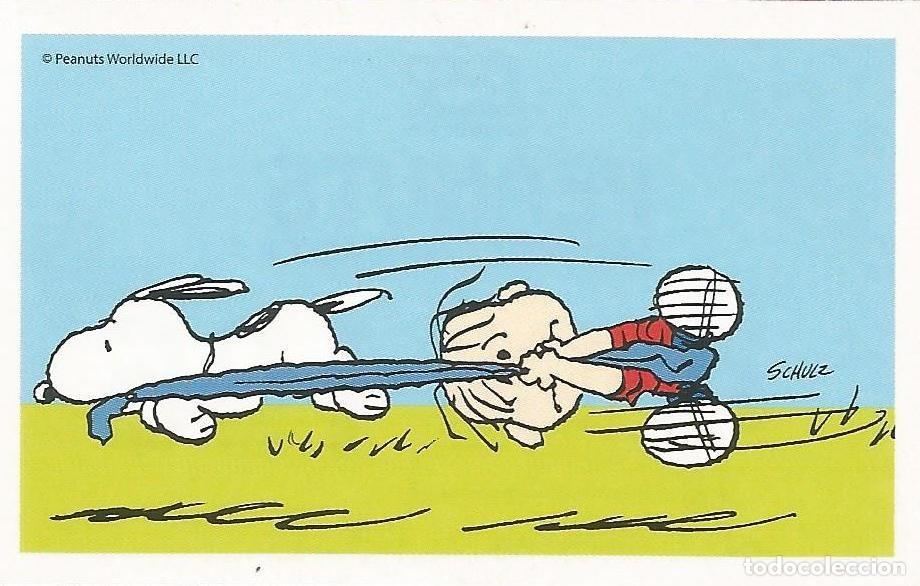 Coleccionismo cromos antiguos: Cromo n.&ordm; 106 de la colecci&oacute;n 'Peanuts. Snoopy e i Suoi Amici' - COOP Unicoop Tirreno (Italia, 2016)