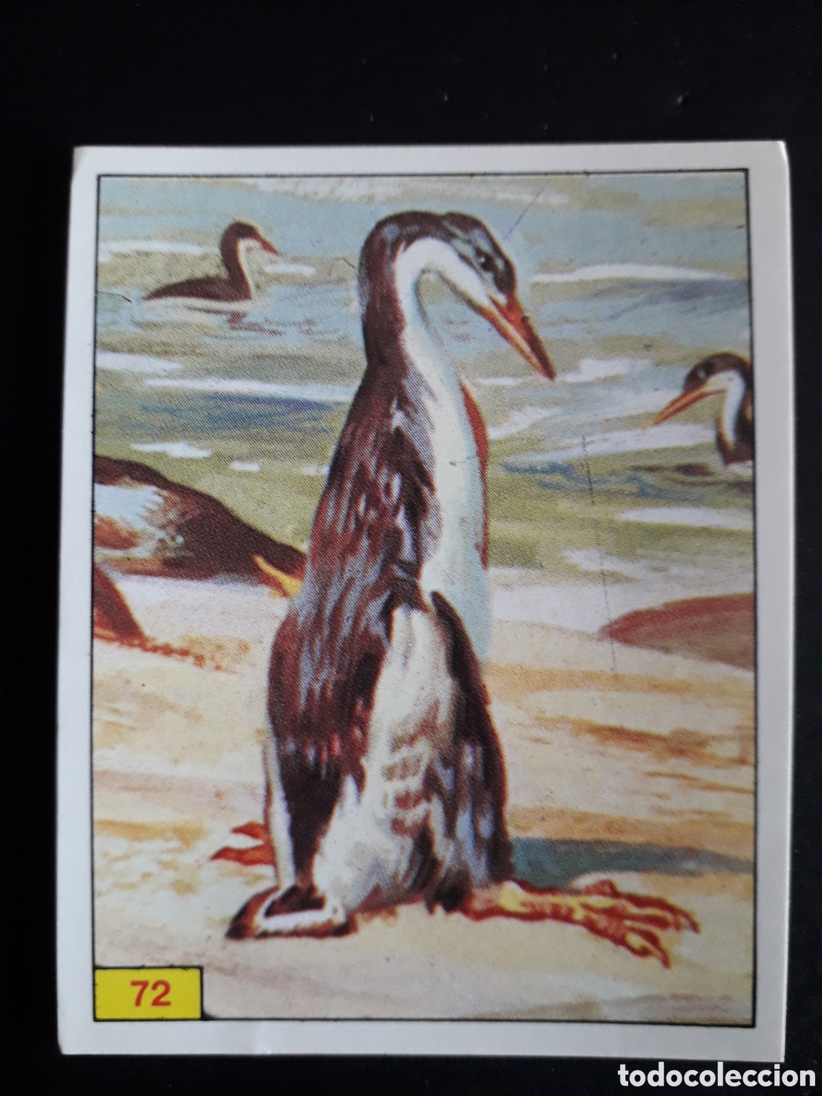 Sammeln alte Sammelbilder: DINOSAURS / DINOSAURIOS N&deg; 72 PANINI 1992 SIN PEGAR PEDIDO M&Iacute;NIMO 3&euro;