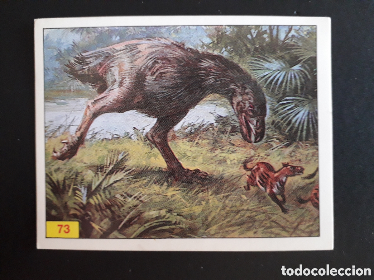 Sammeln alte Sammelbilder: DINOSAURS / DINOSAURIOS N&deg; 73 PANINI 1992 SIN PEGAR PEDIDO M&Iacute;NIMO 3&euro;