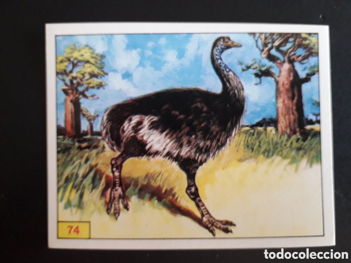 Sammeln alte Sammelbilder: DINOSAURS / DINOSAURIOS N&deg; 74 PANINI 1992 SIN PEGAR PEDIDO M&Iacute;NIMO 3&euro;.