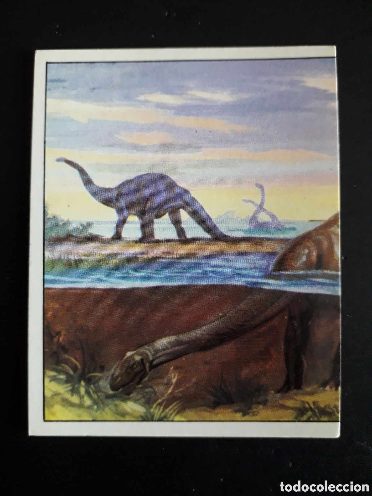 Coleccionismo cromos antiguos: DINOSAURS / DINOSAURIOS N&deg; 79 PANINI 1992 SIN PEGAR PEDIDO M&Iacute;NIMO 3&euro;