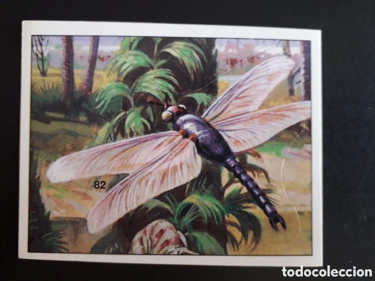 Coleccionismo cromos antiguos: DINOSAURS / DINOSAURIOS N&deg; 82 PANINI 1992 SIN PEGAR PEDIDO M&Iacute;NIMO 3&euro;.