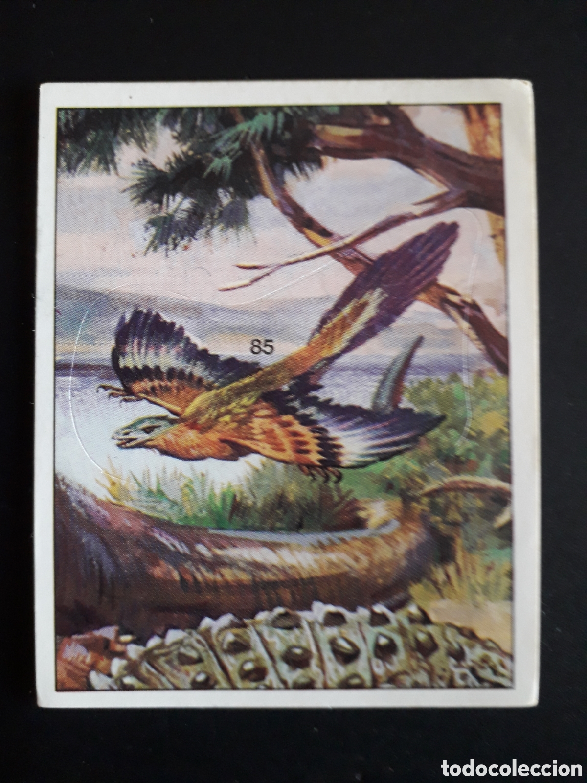 Coleccionismo cromos antiguos: DINOSAURS / DINOSAURIOS N&deg; 85 PANINI 1992 SIN PEGAR PEDIDO M&Iacute;NIMO 3&euro;
