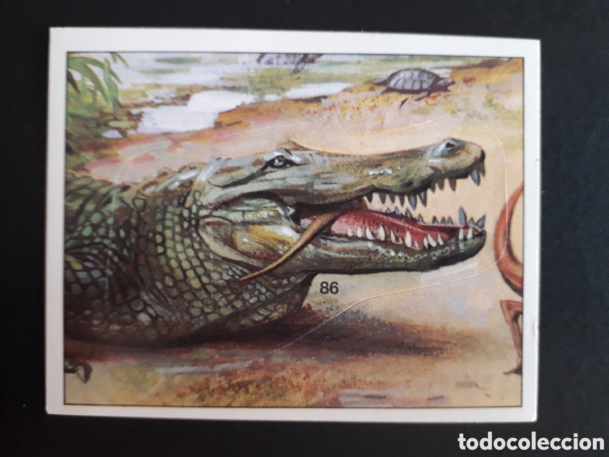 Coleccionismo cromos antiguos: DINOSAURS / DINOSAURIOS N&deg; 86 PANINI 1992 SIN PEGAR PEDIDO M&Iacute;NIMO 3&euro;