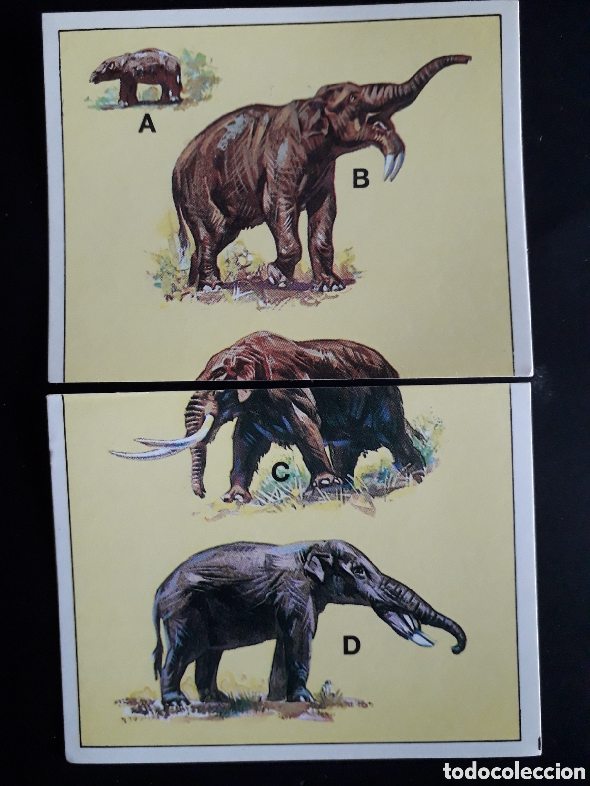 Coleccionismo cromos antiguos: DINOSAURS / DINOSAURIOS N&deg; 124 Y 125 PANINI 1992 SIN PEGAR PEDIDO M&Iacute;NIMO 3&euro;