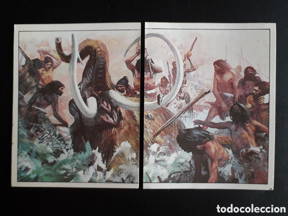 Coleccionismo cromos antiguos: DINOSAURS / DINOSAURIOS N&deg; 126 Y 127 PANINI 1992 SIN PEGAR PEDIDO M&Iacute;NIMO 3&euro;