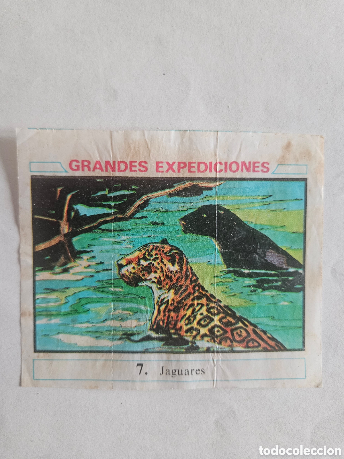 Coleccionismo cromos antiguos: CROMO - GRANDES EXPEDICIONES - N&deg; 7 JAGUARES - CHICLES DUNKIN - NUNCA PEGADO