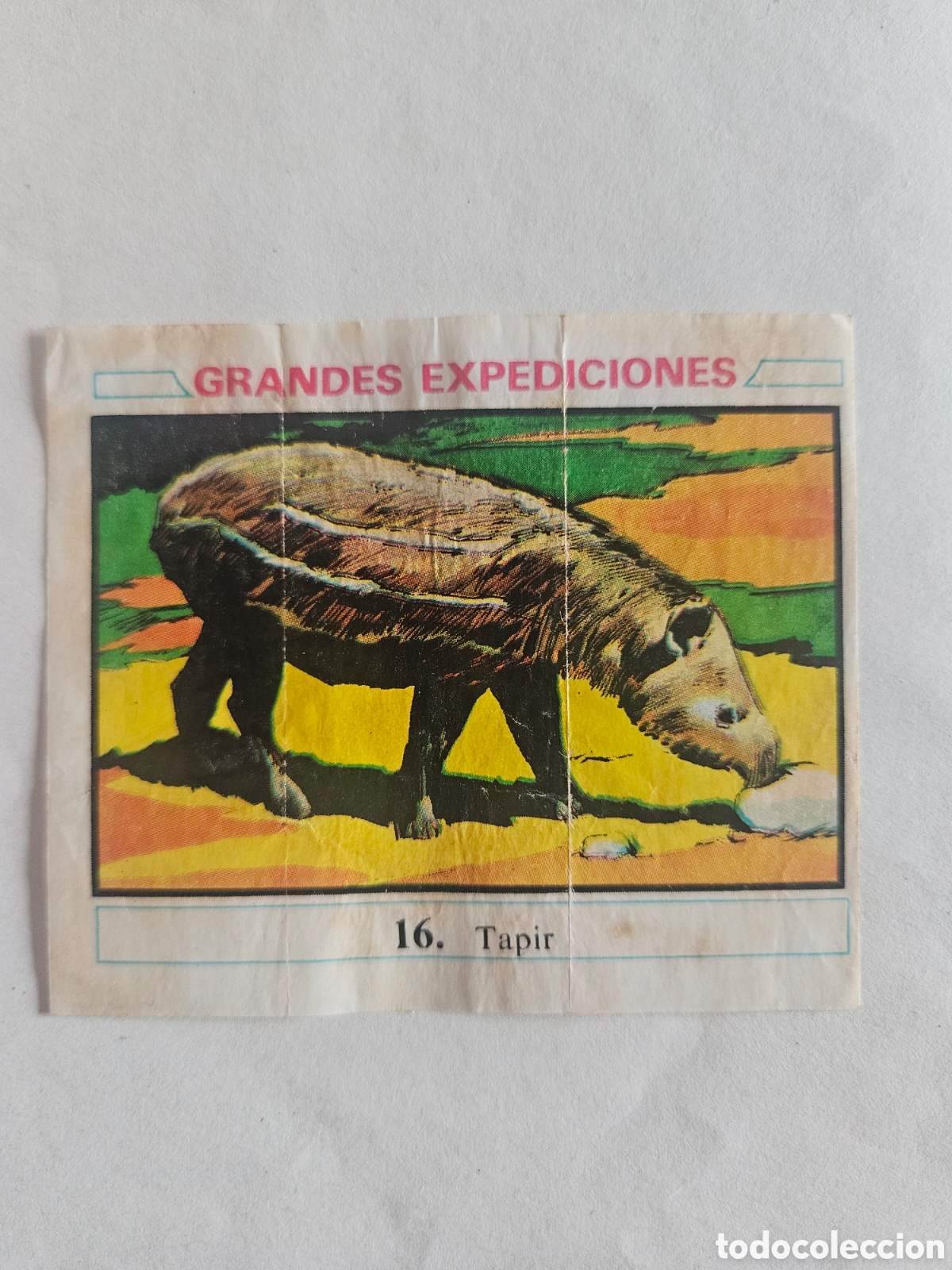 Coleccionismo cromos antiguos: CROMO - GRANDES EXPEDICIONES - N&deg; 16 TAPIR - CHICLES DUNKIN - NUNCA PEGADO