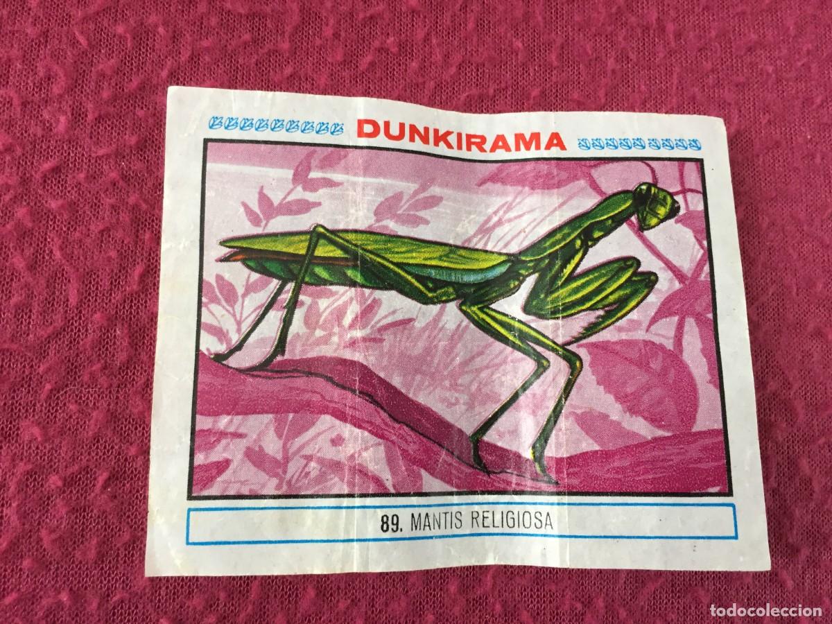 Coleccionismo cromos antiguos: Cromo dunkirama - Numero N&ordm; 89 - LA MANTIS RELIGIOSA - chicles Dunkin