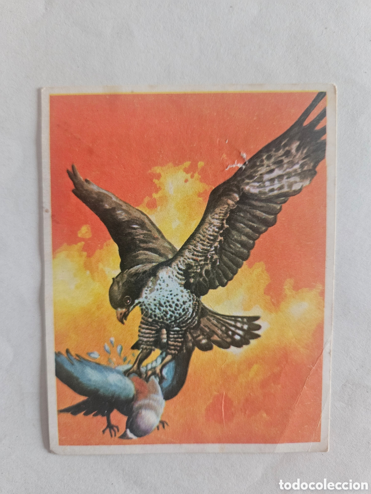 Coleccionismo cromos antiguos: Cromhistoria - Cromo N&ordm; 94 - Editorial Maga A&ntilde;o 1967 - Nunca Pegado