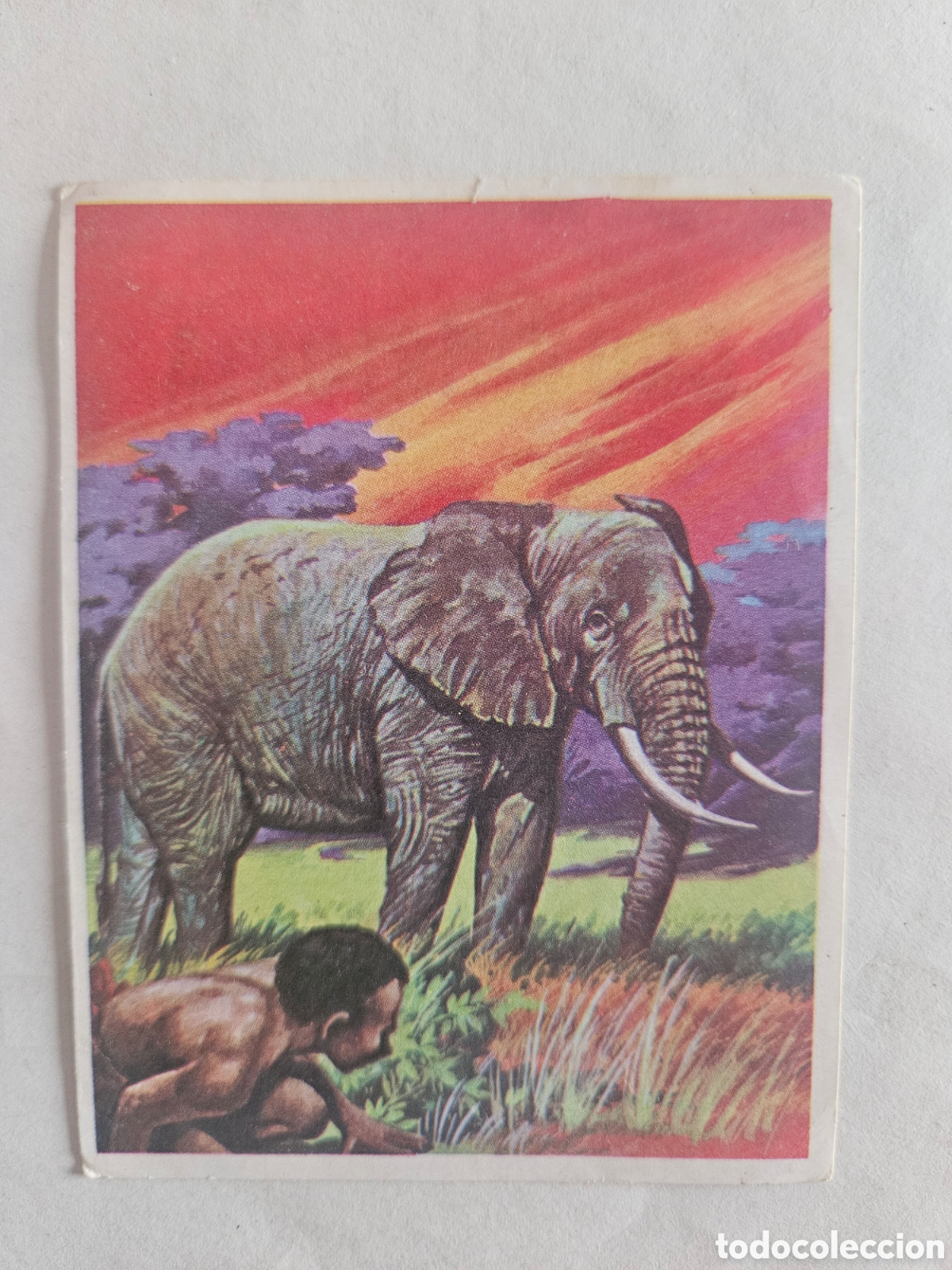 Coleccionismo cromos antiguos: Cromhistoria - Cromo N&ordm; 105 - Editorial Maga A&ntilde;o 1967 - Nunca Pegado