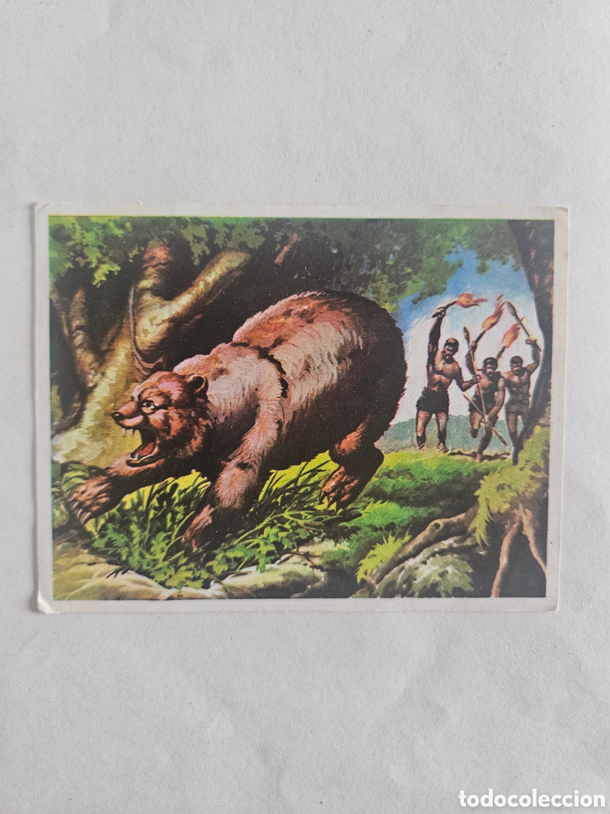 Coleccionismo cromos antiguos: Cromhistoria - Cromo N&ordm; 88 - Editorial Maga A&ntilde;o 1967 - Nunca Pegado