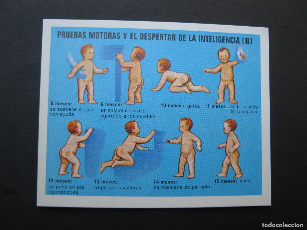 Coleccionismo cromos antiguos: LA VIDA - CROMO N&ordm; 119 - EDICIONES ESTE - NUNCA PEGADO.