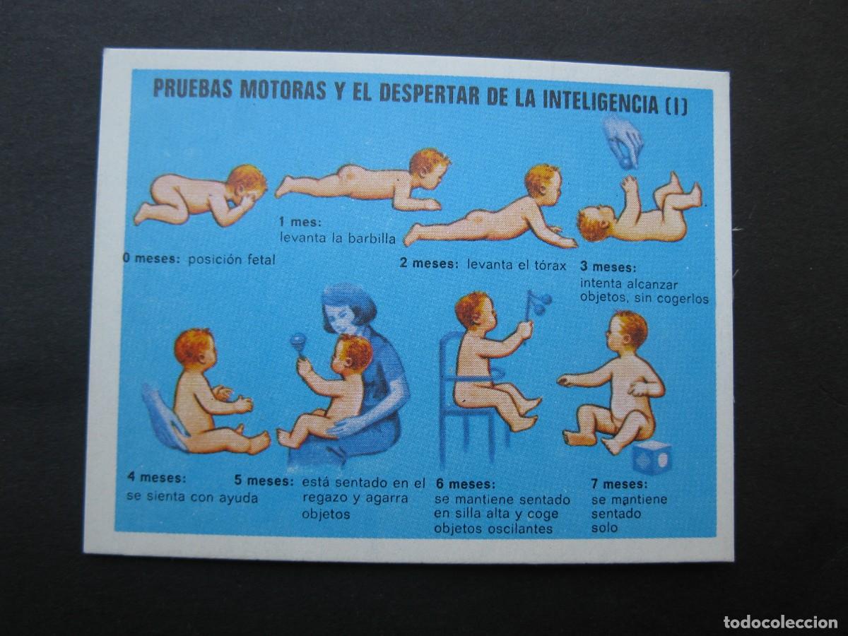 Coleccionismo cromos antiguos: LA VIDA - CROMO N&ordm; 118 - EDICIONES ESTE - NUNCA PEGADO.