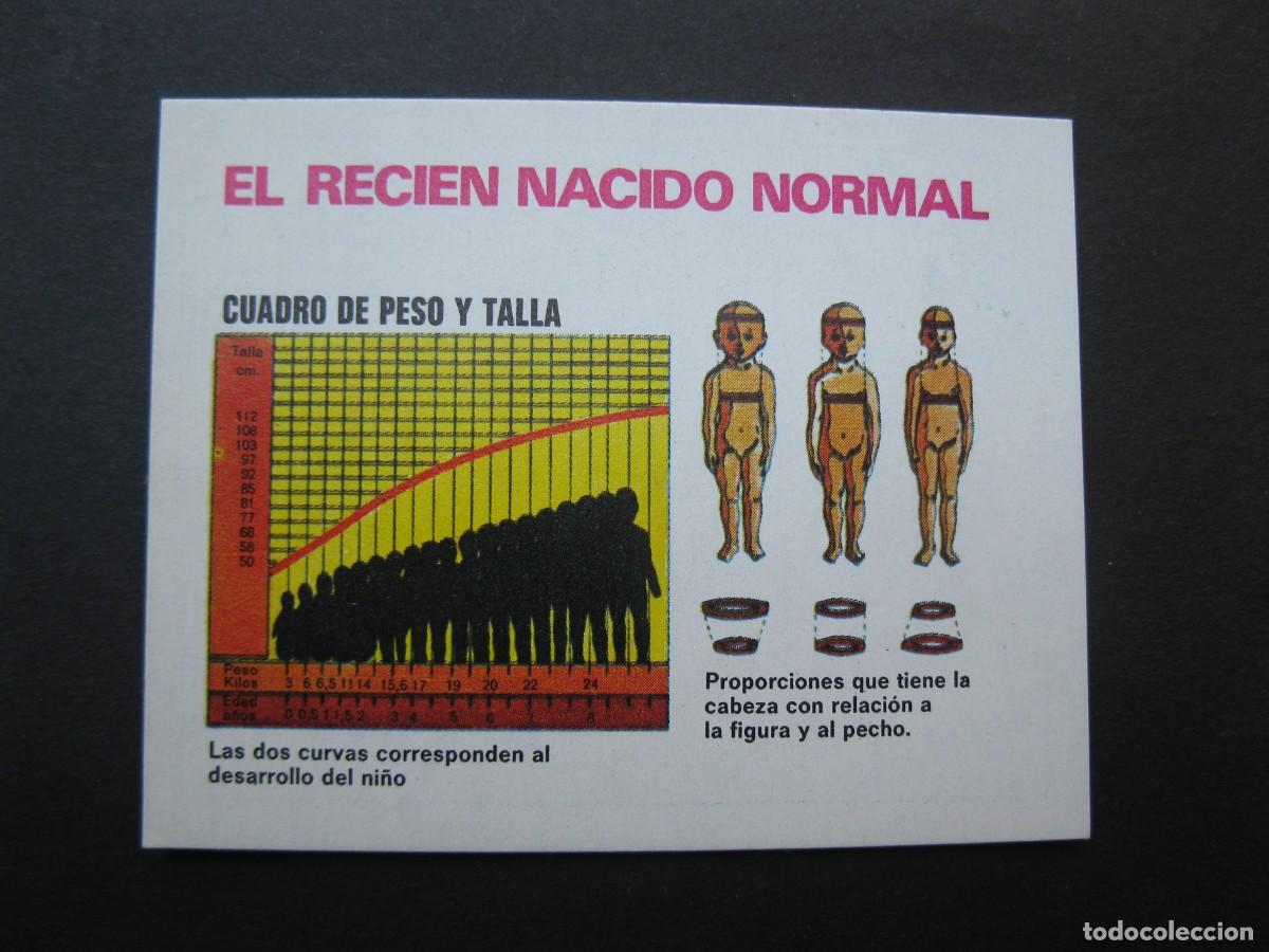 Coleccionismo cromos antiguos: LA VIDA - CROMO N&ordm; 113 - EDICIONES ESTE - NUNCA PEGADO.