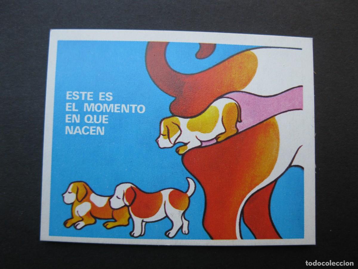 Coleccionismo cromos antiguos: LA VIDA - CROMO N&ordm; 46 - EDICIONES ESTE - NUNCA PEGADO.