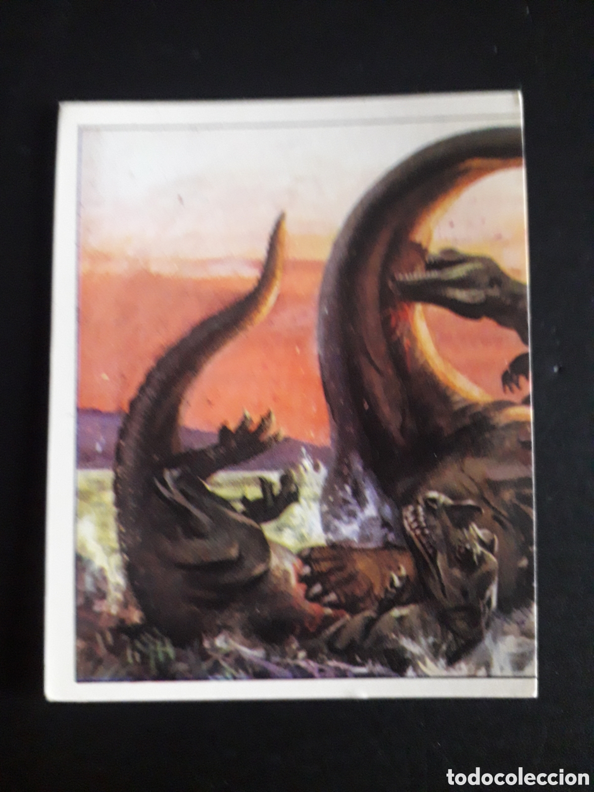 Collectionnisme Cartes &agrave; collectionner anciennes: DINOSAURS / DINOSAURIOS N&deg; 106 PANINI 1992 SIN PEGAR PEDIDO M&Iacute;NIMO 3&euro;