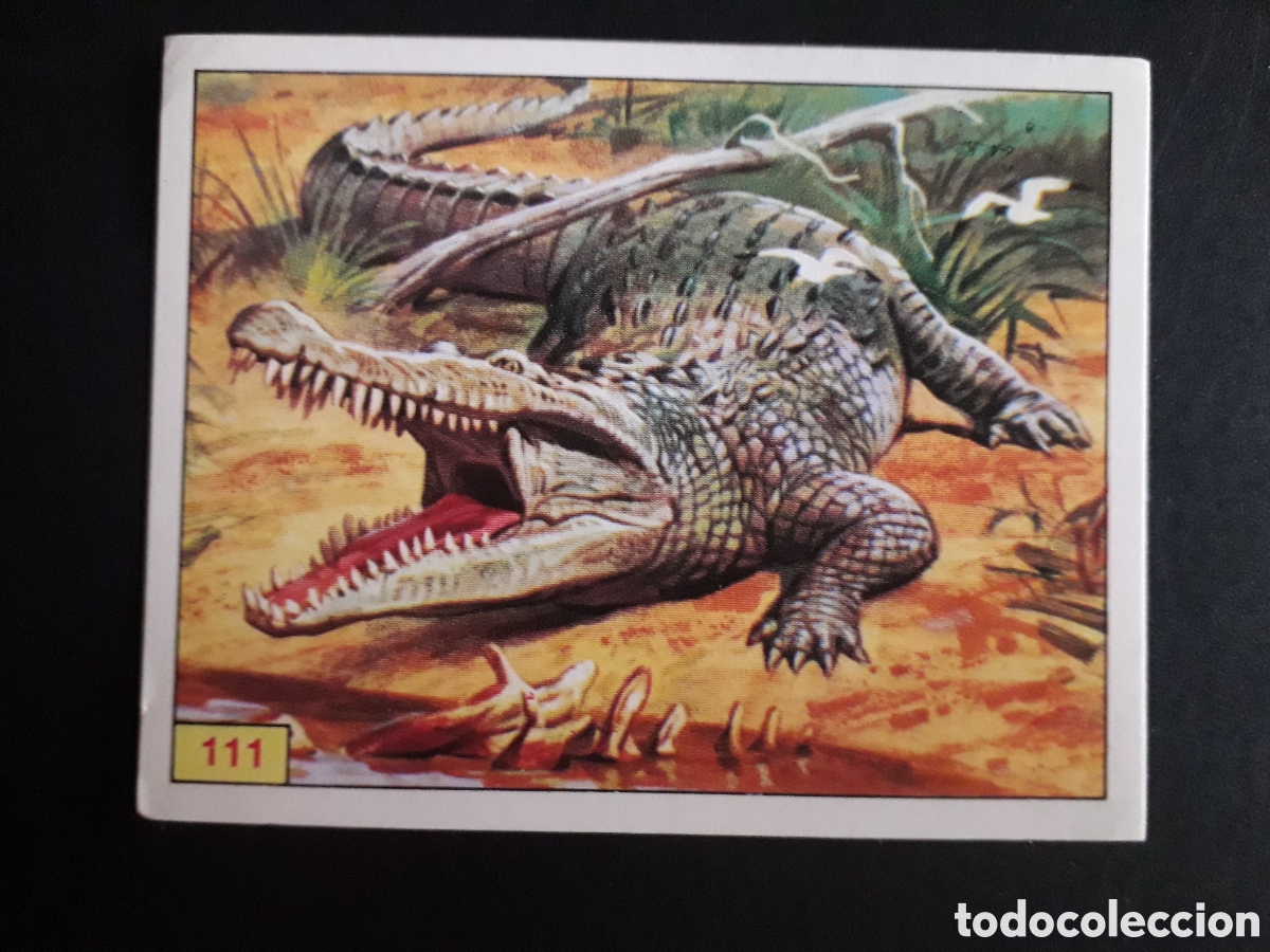 Collezionismo Figurine antiche: DINOSAURS / DINOSAURIOS N&deg; 111 PANINI 1992 SIN PEGAR PEDIDO M&Iacute;NIMO 3&euro;