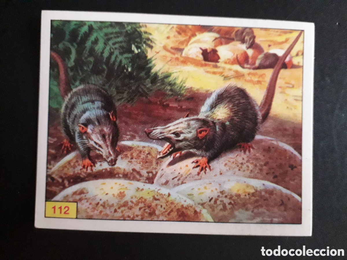 Collezionismo Figurine antiche: DINOSAURS / DINOSAURIOS N&deg; 112 PANINI 1992 SIN PEGAR PEDIDO M&Iacute;NIMO 3&euro;