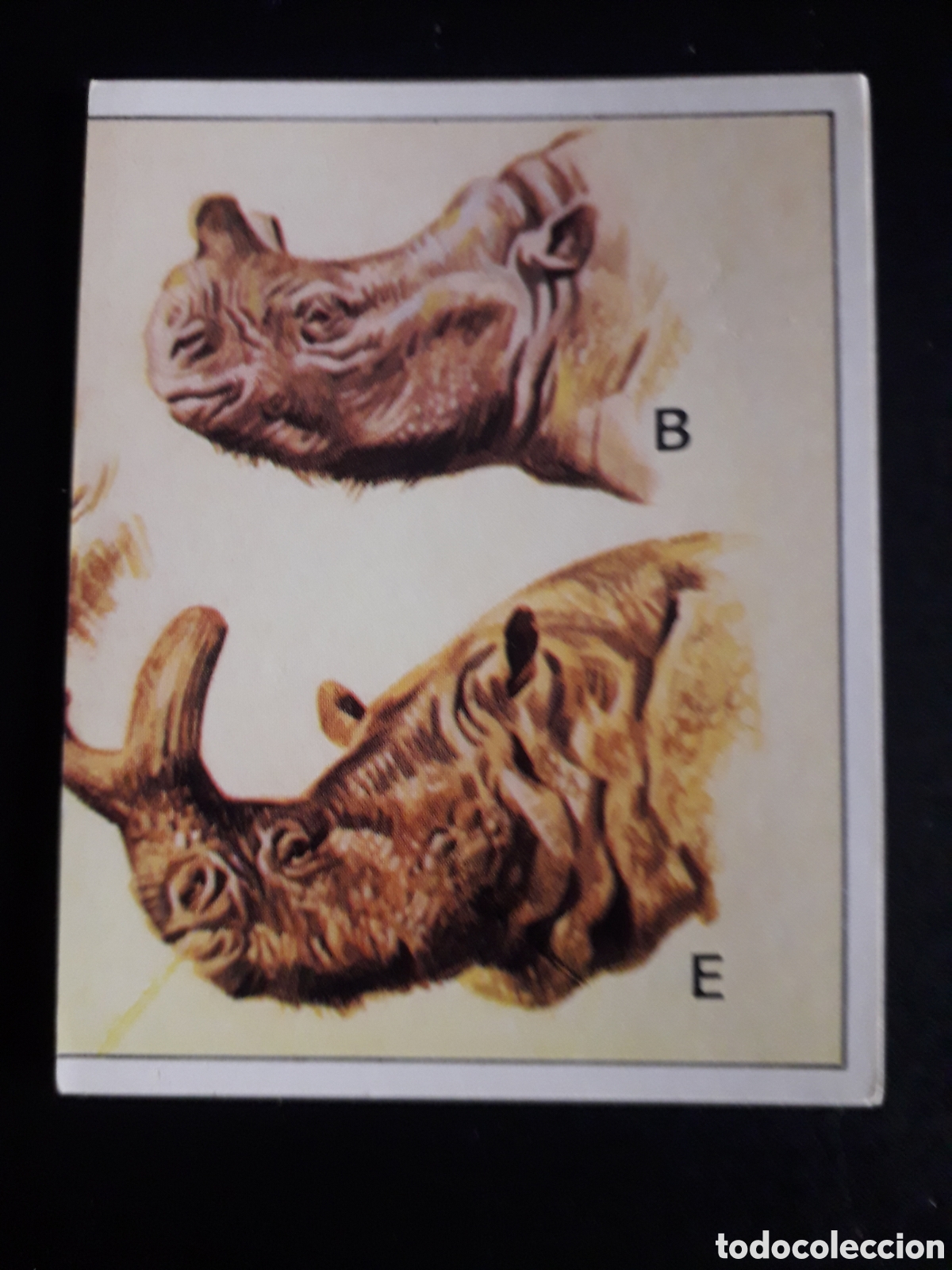 Coleccionismo cromos antiguos: DINOSAURS / DINOSAURIOS N&deg; 119 PANINI 1992 SIN PEGAR PEDIDO M&Iacute;NIMO 3&euro;