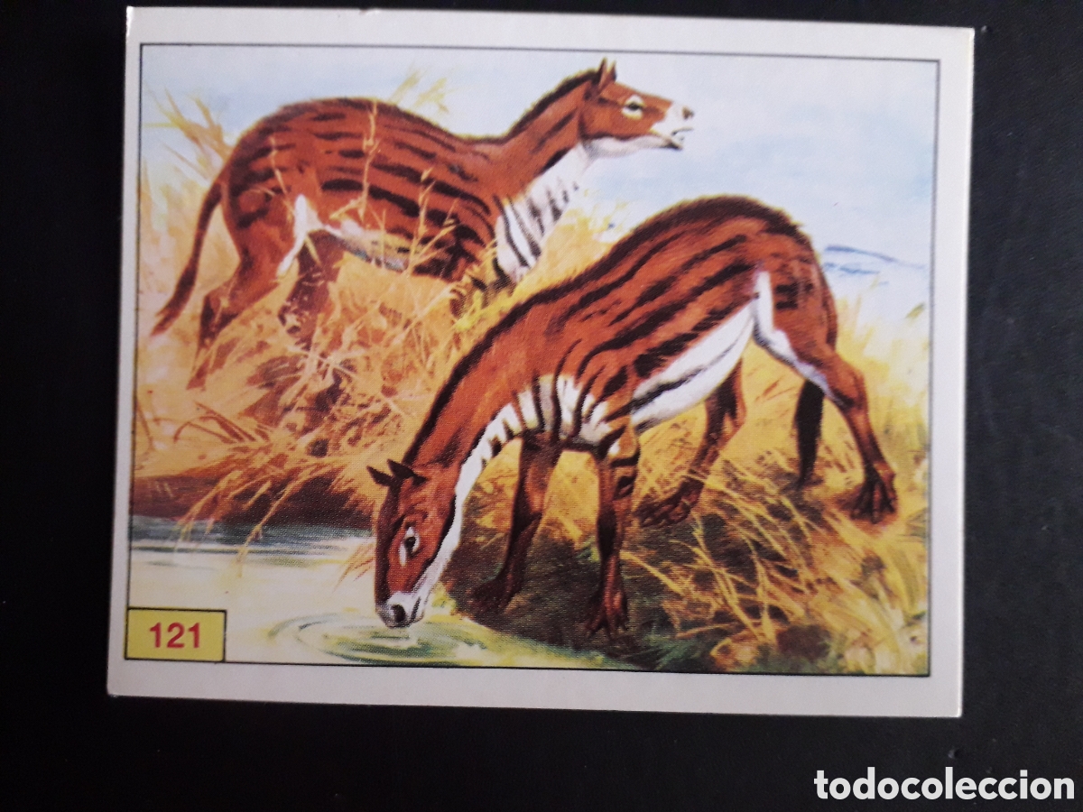 Coleccionismo cromos antiguos: DINOSAURS / DINOSAURIOS N&deg; 121 PANINI 1992 SIN PEGAR PEDIDO M&Iacute;NIMO 3&euro;