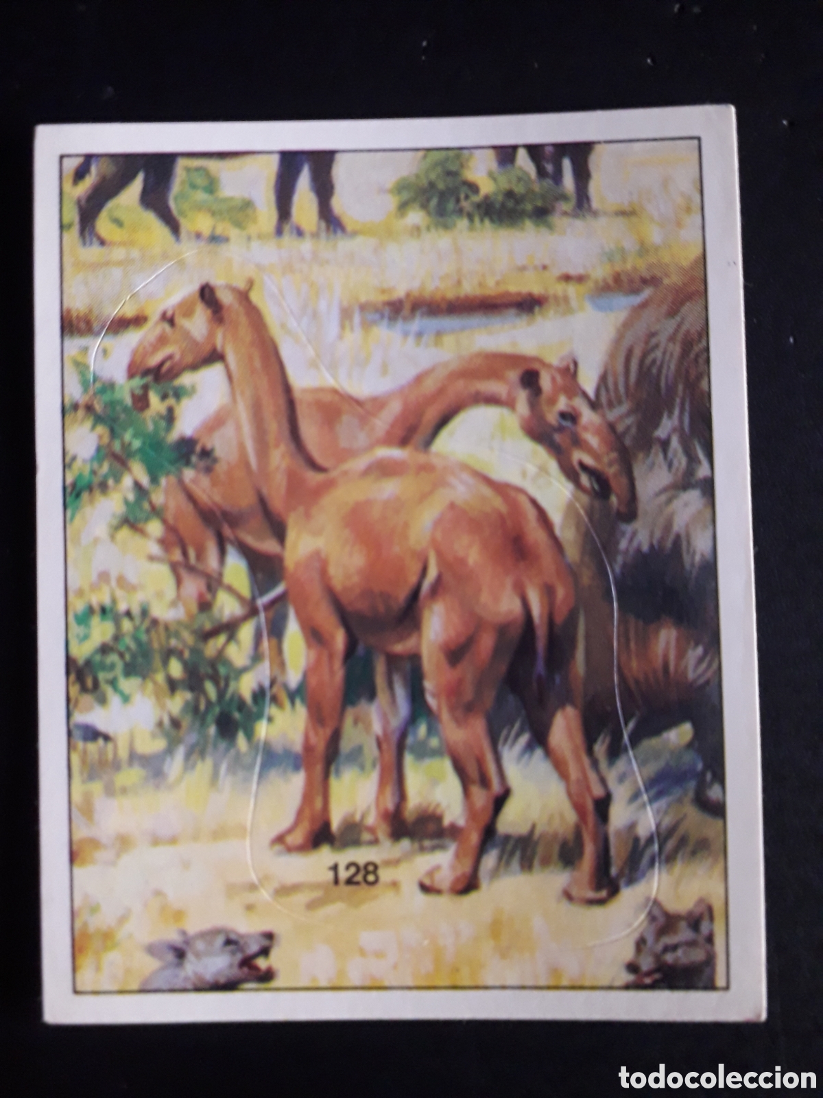 Coleccionismo cromos antiguos: DINOSAURS / DINOSAURIOS N&deg; 128 PANINI 1992 SIN PEGAR PEDIDO M&Iacute;NIMO 3&euro;