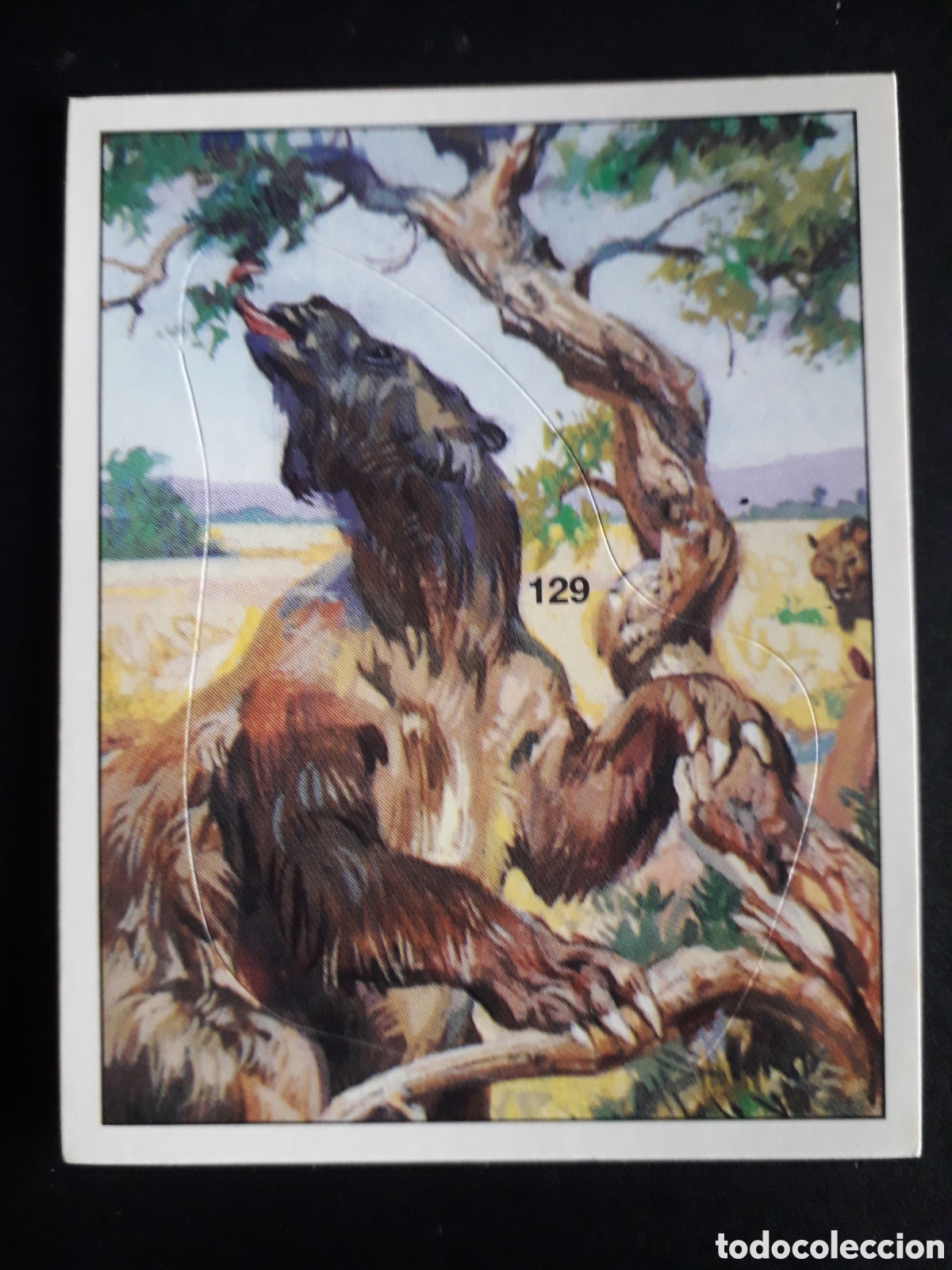 Coleccionismo cromos antiguos: DINOSAURS / DINOSAURIOS N&deg; 129 PANINI 1992 SIN PEGAR PEDIDO M&Iacute;NIMO 3&euro;