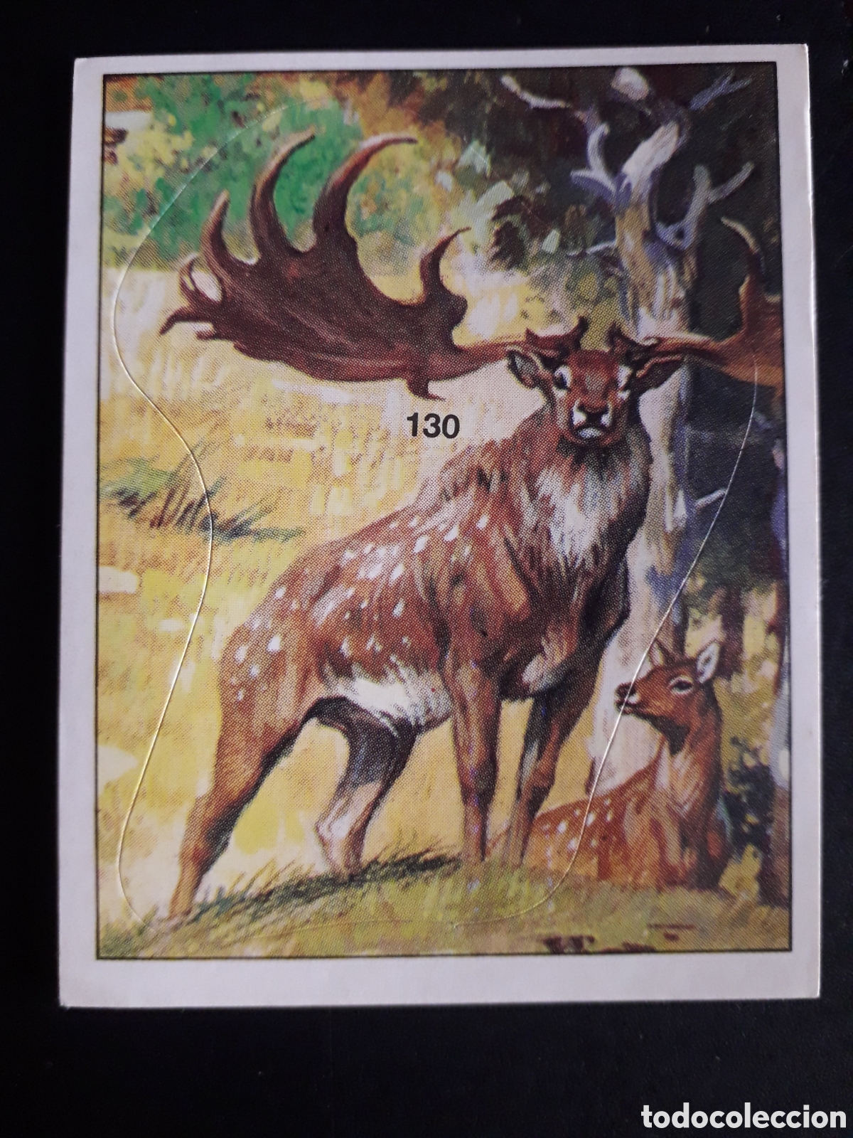 Coleccionismo cromos antiguos: DINOSAURS / DINOSAURIOS N&deg; 130 PANINI 1992 SIN PEGAR PEDIDO M&Iacute;NIMO 3&euro;