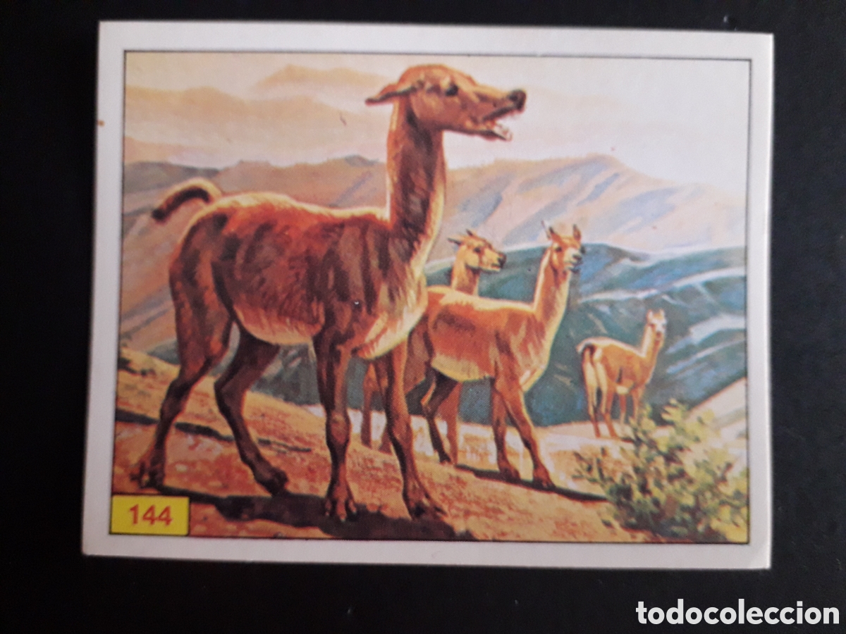 Coleccionismo cromos antiguos: DINOSAURS / DINOSAURIOS N&deg; 144 PANINI 1992 SIN PEGAR PEDIDO M&Iacute;NIMO 3&euro;