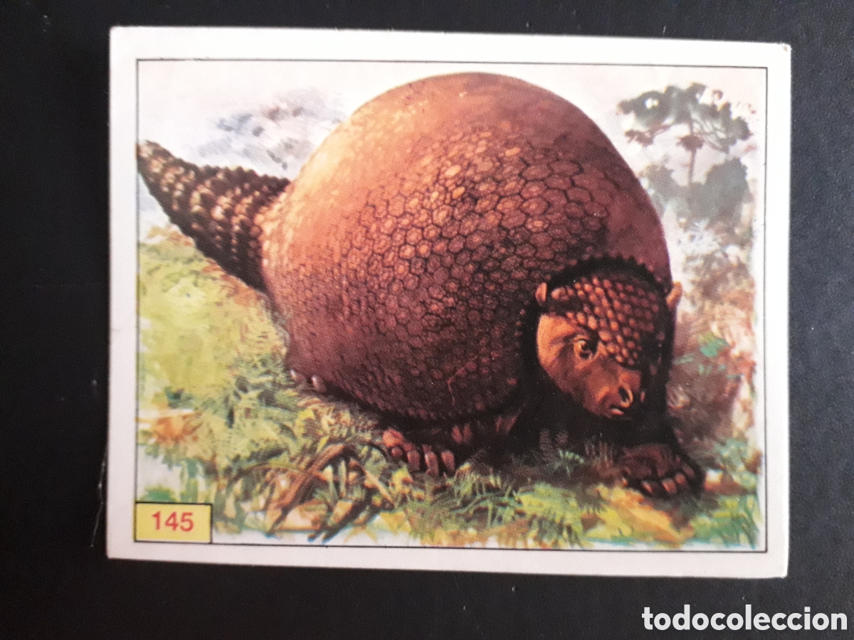 Coleccionismo cromos antiguos: DINOSAURS / DINOSAURIOS N&deg; 145 PANINI 1992 SIN PEGAR PEDIDO M&Iacute;NIMO 3&euro;