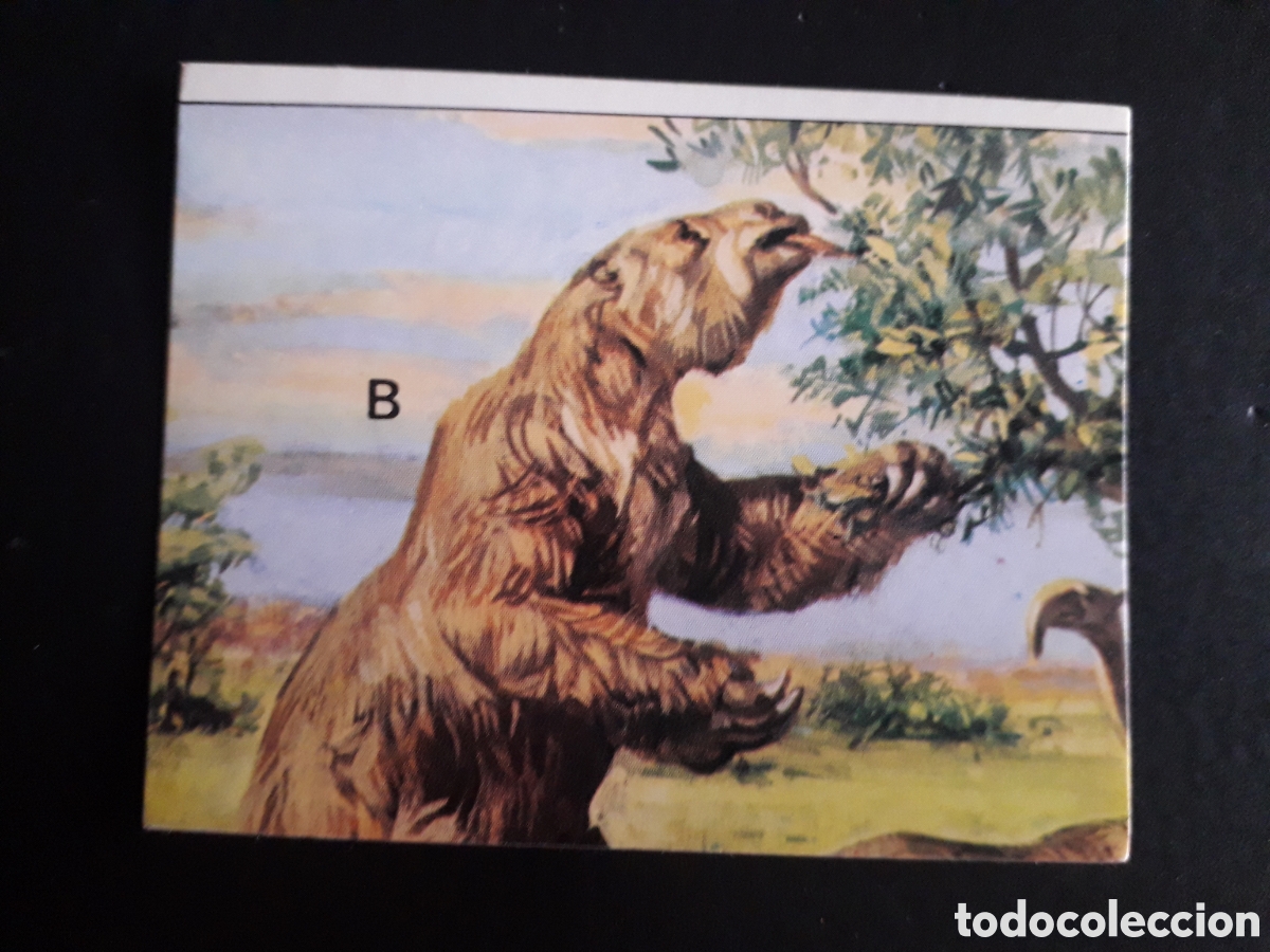 Coleccionismo cromos antiguos: DINOSAURS / DINOSAURIOS N&deg; 147 PANINI 1992 SIN PEGAR PEDIDO M&Iacute;NIMO 3&euro;.