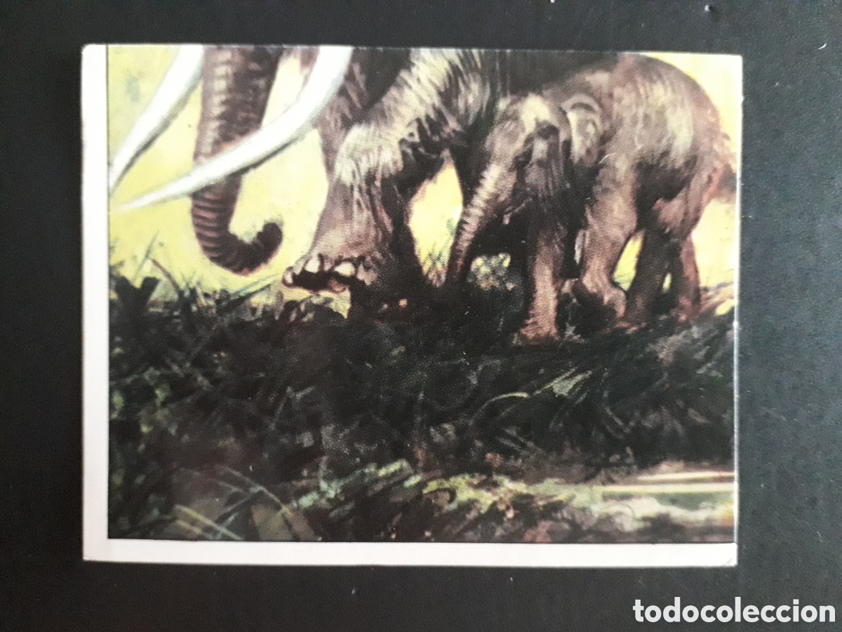 Coleccionismo cromos antiguos: DINOSAURS / DINOSAURIOS N&deg; 149 PANINI 1992 SIN PEGAR PEDIDO M&Iacute;NIMO 3&euro;