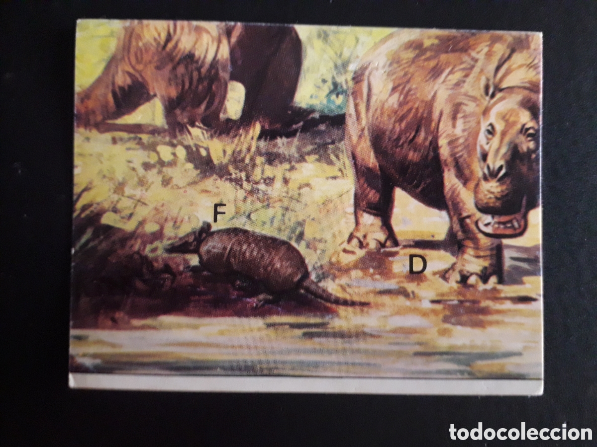 Coleccionismo cromos antiguos: DINOSAURS / DINOSAURIOS N&deg; 150 PANINI 1992 SIN PEGAR PEDIDO M&Iacute;NIMO 3&euro;